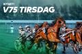 Artikkelbilde