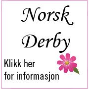 https://www.ovrevollgalopp.no/derby
