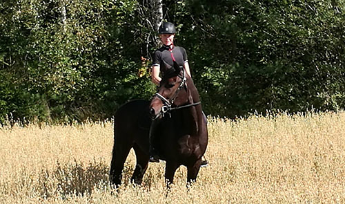 Angelica Bjørnhild Kvitblikk 