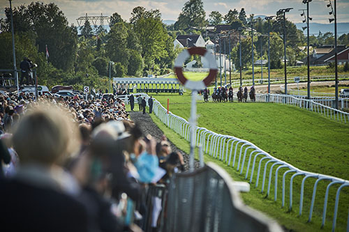 Publikum Norsk Derby 2024. Foto Malene Nilssen