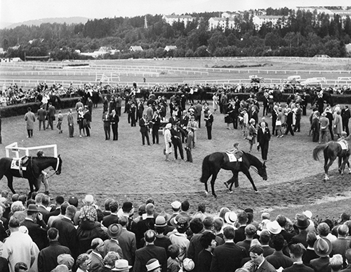 Visningspaddocken 1957