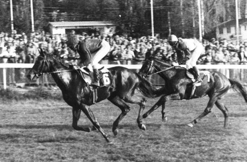 Fantastiske Noble Dancer hadde en utrolig karriere. Her vinner han Oslo Cup 1976 foran Trainer's Seat