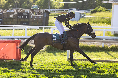 Green Zabeel ©hesteguiden.com Green Zabeel ©hesteguiden.com