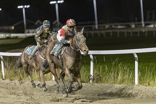 Miss Wintown ©hesteguiden.com Miss Wintown ©hesteguiden.com