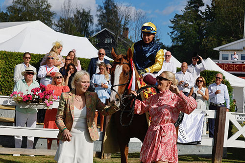 Simply Minds ©hesteguiden.com