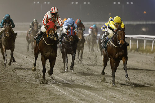 Stogas Athena ©hesteguiden.com Stogas Athena ©hesteguiden.com