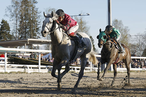The Singing Butler ©hesteguiden.com 