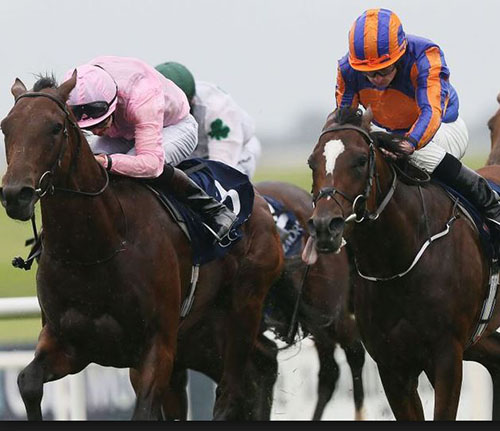 Coat Of Arms (rosa drakt) knapt slått på The Curragh. Foto Sportinglife Coat Of Arms (rosa drakt) knapt slått på The Curragh. Foto Sportinglife