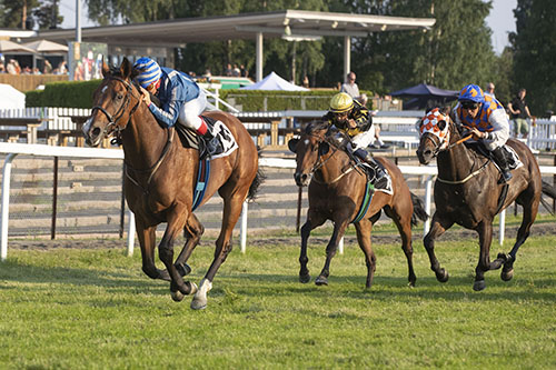 Match Maker ©hesteguiden.com Match Maker ©hesteguiden.com