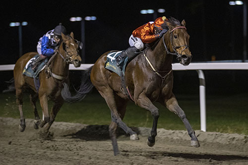 Shantou Shantou