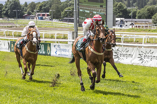 Victory Waltz ©hesteguiden.com Victory Waltz ©hesteguiden.com